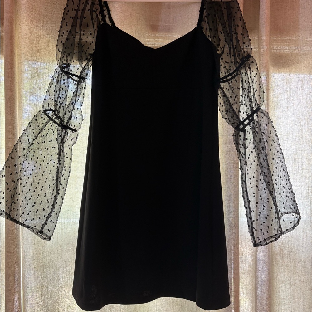 BCBGeneration Dress with Sheer Polka Dot Sleeves